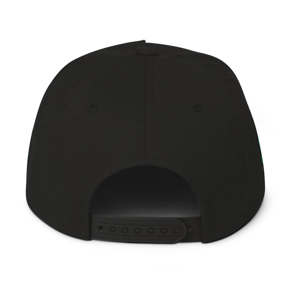 San Andreas Emb. Snapbacks Cap - Image 4